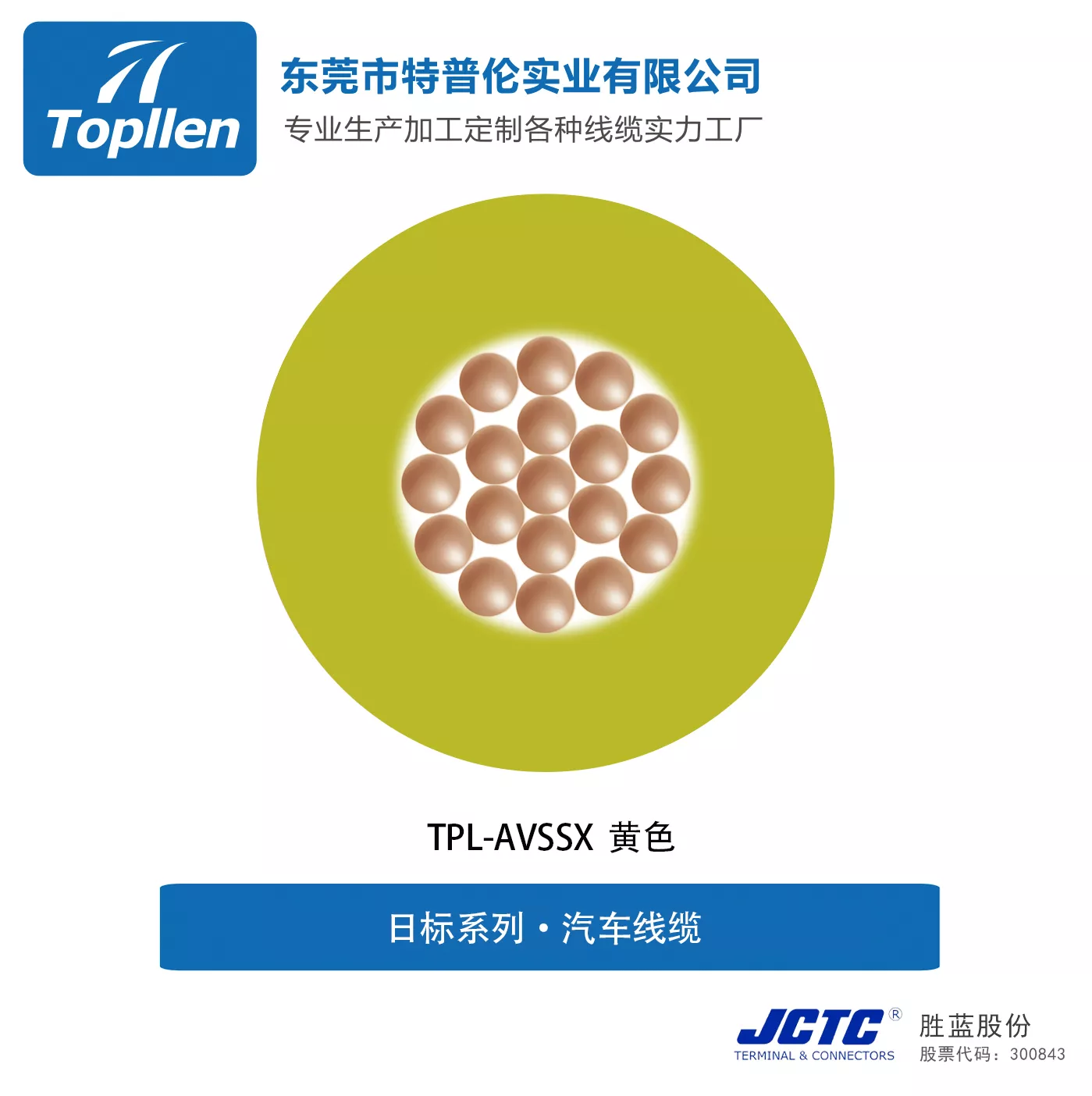 TPL-AVSSX/AESSX